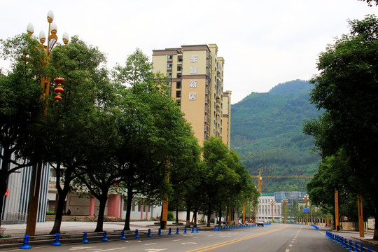 东城新居 街道