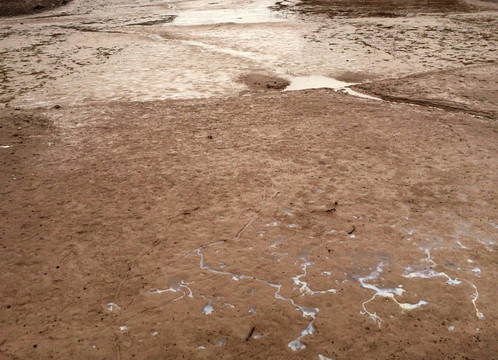 干涸 水库 水塘 干旱 旱情