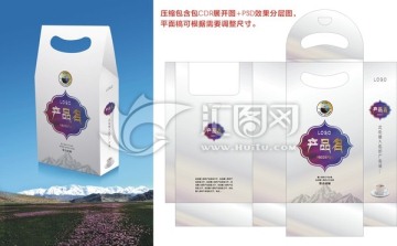 禮品袋包裝模板