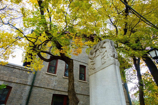 北京大学校园秋色枫叶中国古建筑