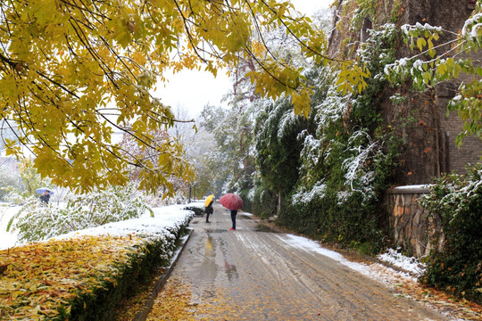 北京大学未名湖畔秋天红叶雪景