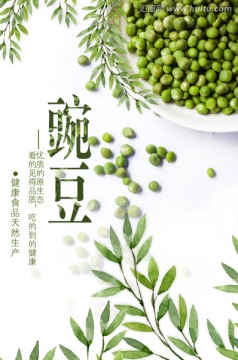 豌豆 綠色系生態(tài)環(huán)保清新