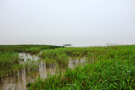 西沙湿地