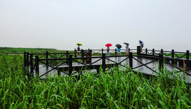 西沙湿地