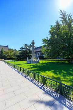北京大学办公楼草坪华表松树银杏
