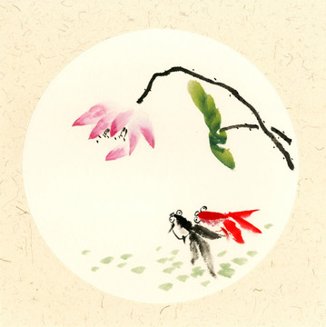 禪意荷花