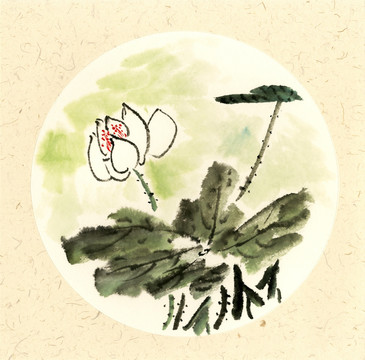 國畫白荷花
