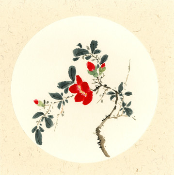 國畫山茶花