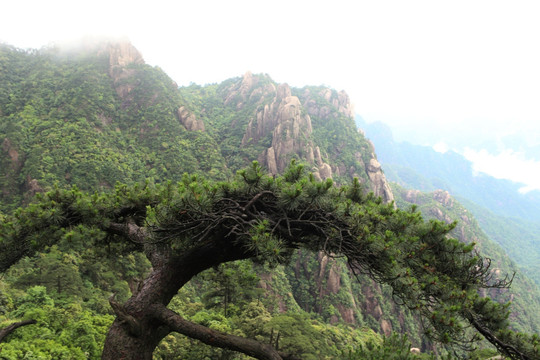 江西 三清山