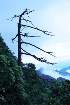 江西 三清山