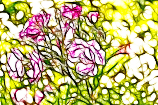 小月季花