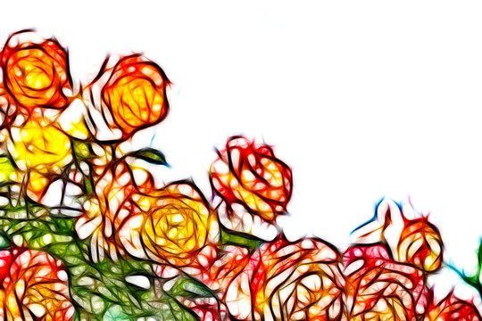 月季花