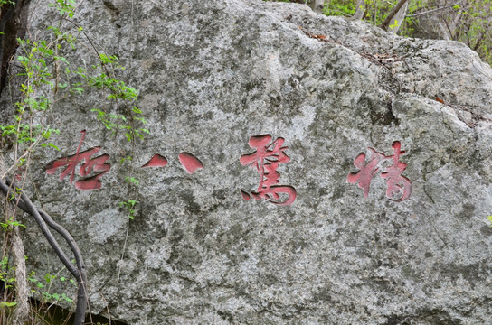 精警八极