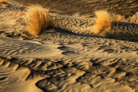 干旱沙漠
