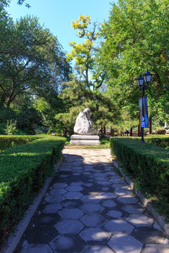 北京大学校园风光鸣鹤园石碑