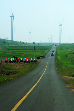 草原风景 草原天路