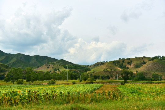 山峰