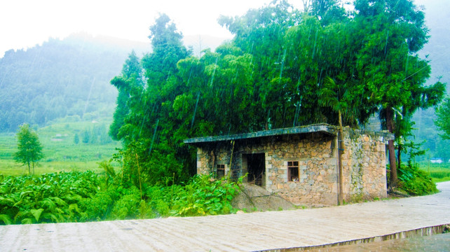 雨中的小屋