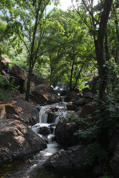 山林溪流