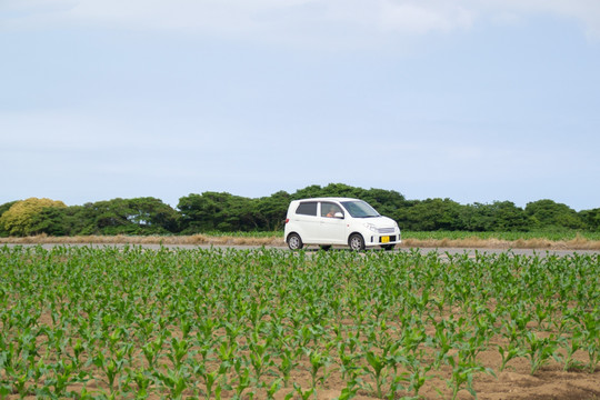 乡村公路 乘用车