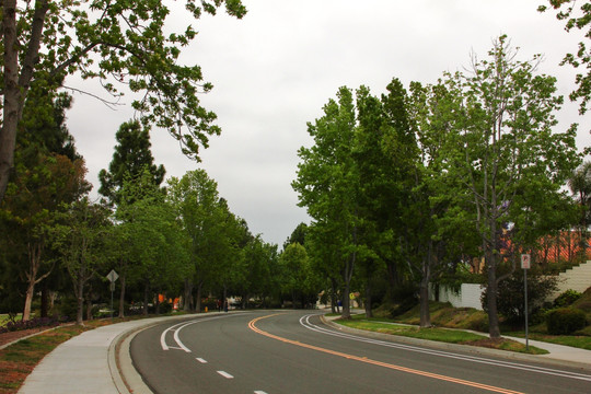 街道 马路 弯道