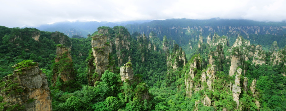 张家界 山水风景 石林全景图