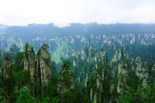 张家界 山水风景 石林