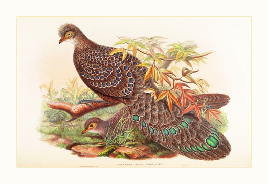 花鳥動物油畫裝飾畫