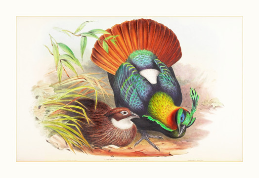 花鳥動物油畫裝飾畫