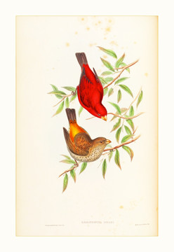 花鳥(niǎo)風(fēng)景油畫(huà)水彩畫(huà)