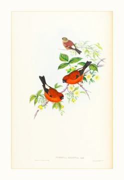 花鳥風(fēng)景油畫裝飾畫