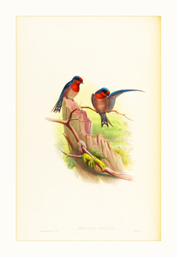 花鳥裝飾畫