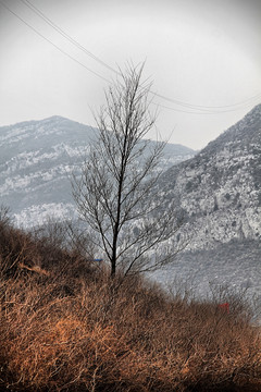 北方荒山