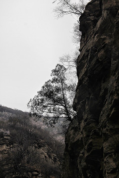 一线天 山石 小树