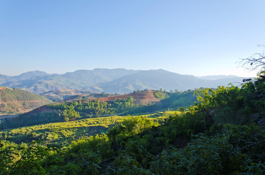 美丽乡村