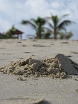 螃蟹洞口的沙堆