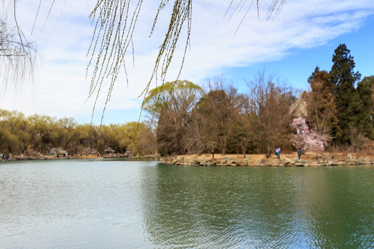 北京大学校园风光未名湖春天