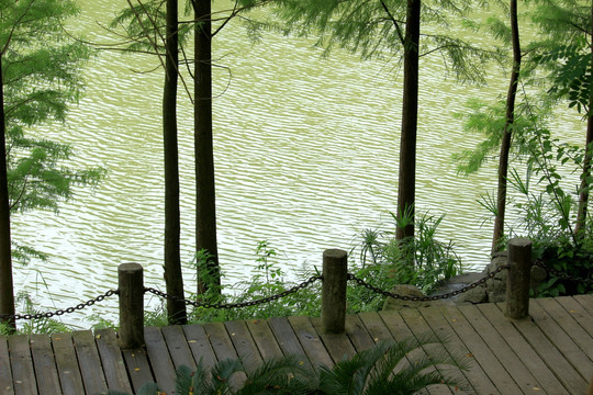 湖边木板走道