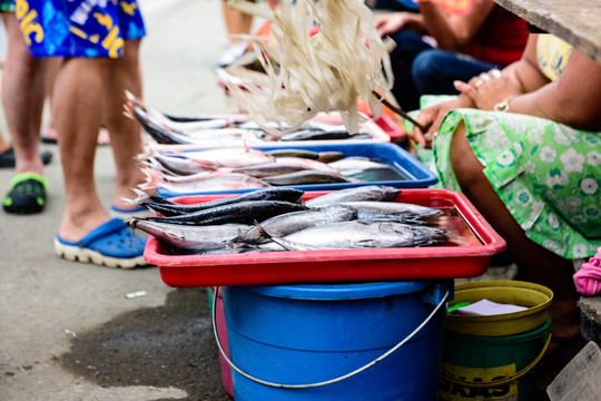菲律宾鱼市场