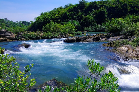 风景 溪流河流