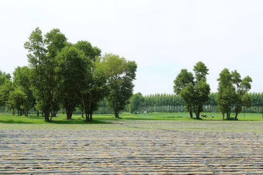 塞外风光 坝上蔬菜基地