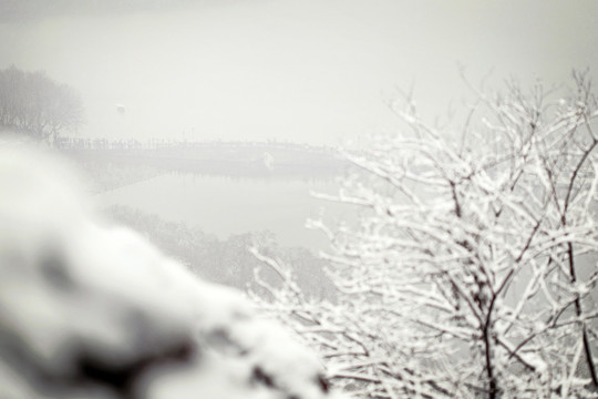 宝石山 雪景 西湖