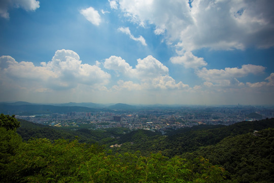 城市风光 俯瞰广州 广州全景