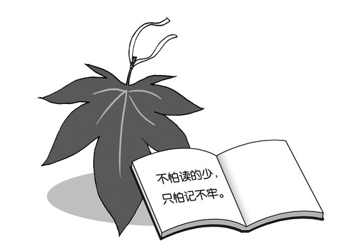 插畫(huà)