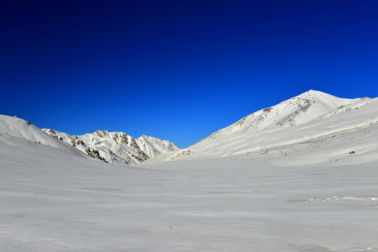 岗什卡雪山