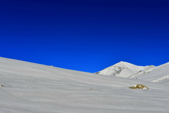 岗什卡雪山