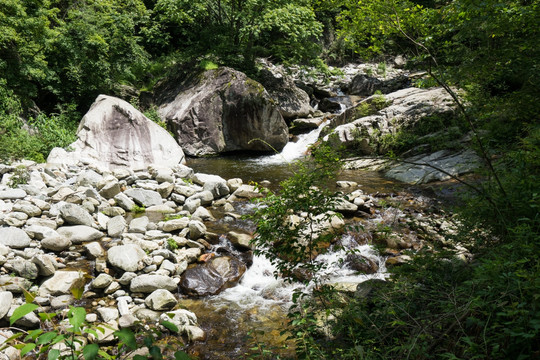 山间溪流 溪水潺潺