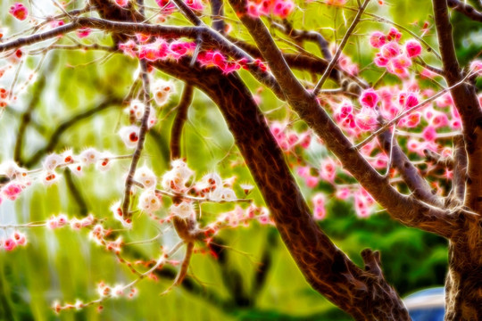 抽象花卉裝飾畫(huà)