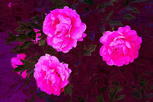 牡丹花油畫