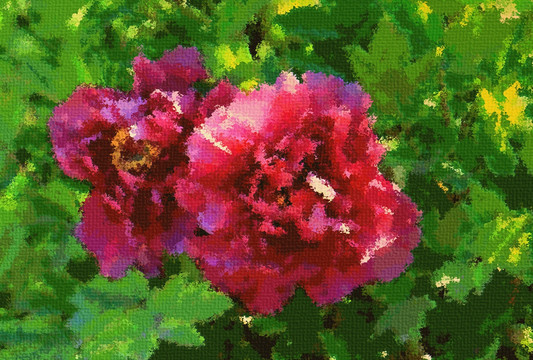 牡丹花油畫